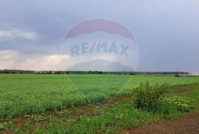 Teren Construcții intravilan de 15000 mp, în Ciolpani - 7