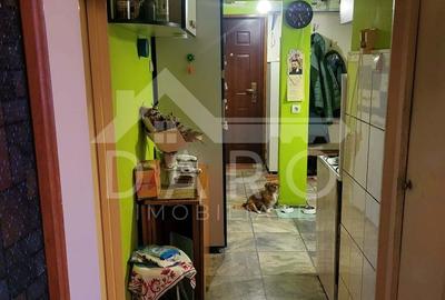 Apartament cu 3 camere în Dâmbu Pietros - 6