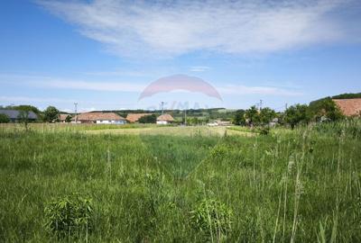 Teren de vanzare Blajel, jud. Sibiu | 15.360 mp - p... - 15