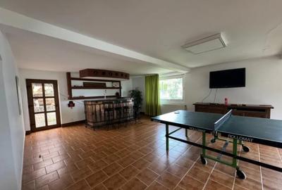 Casă cu 7 camere cu Teren 2500 Mp în Sucevița - 13