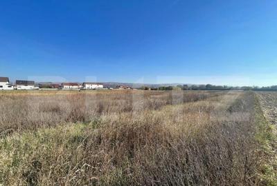 Teren Intravilan Partos - 1