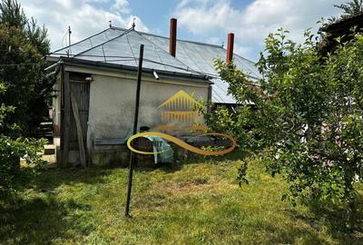 Casa batraneasca cu 2ha de teren de vanzare in sat Balaia / Bacau - 23
