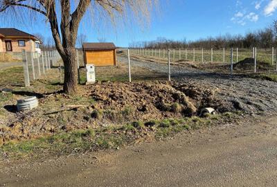 Spațiu comercial, în Fărcașa - 6