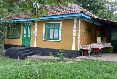 Casa batraneasca situata in jude?ul Vaslui - 3