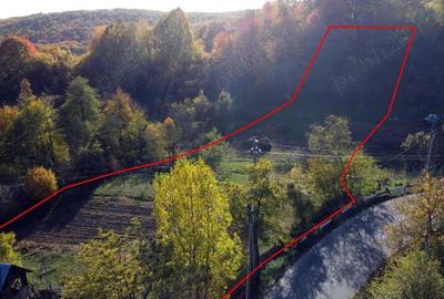 Teren de 5404 mp, în Vernești - 13