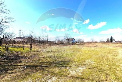 Teren Construcții intravilan de 921 mp, în Gherăiești - 5