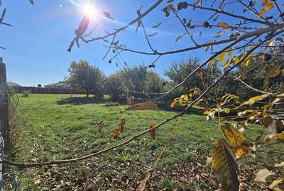 Teren de 600 mp, în Vetiș - 3