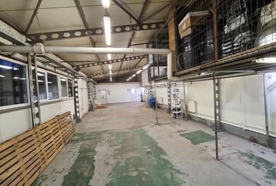Spațiu industrial, de 137 mp, în Grozăvești - 2