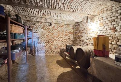 Casa de vinificatie 2 camere cu Teren 1389 mp - Gradina Viilor ,,Nyulhat,,-Carei Casa de vinificatie 2 camere cu Teren 1389 mp - Gradina Viilor ,,Nyulhat,,-Carei - 7