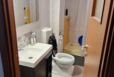 Garsonieră decomandată în Jilava - 5