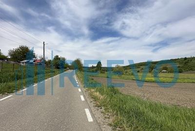 Teren de vanzare, Sat Valea Mare, Com. Ro?iori, Bacau - 9