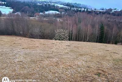 Spațiu comercial, în Vișagu - 8