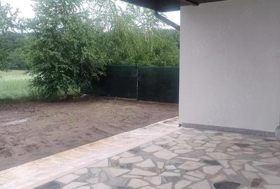 Casă cu Teren 500 Mp în Strejnicu - 2