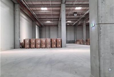 Spatiu Industrial - 5500 mp - Logistica - Depozitare - Distributie - 8