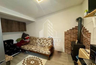 Doua apartamente la curte comuna , zona Iosefin - 10