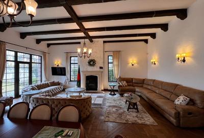 Vila padure Baneasa Iancu Nicolae- Mayfair Mansion - 2