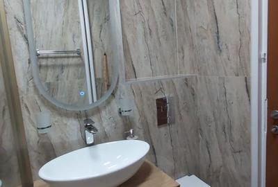 Apartament cu 2 camere decomandat în Dristor - 4