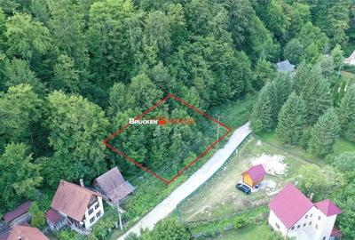 TEREN INTRAVILAN CONSTRUIBIL 400 mp | Statiunea Boga, com. Pietroasa, jud. Bihor - 1