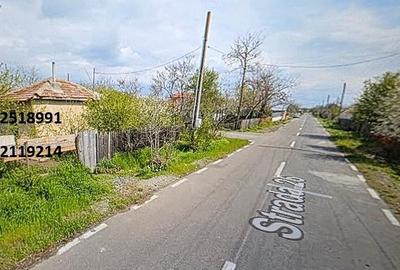 Lehliu, teren intravilan, 1000 mp - 6