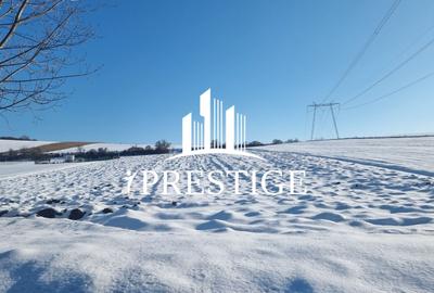 Teren agricol extravilan de 6695 mp, în Șura Mare - 6