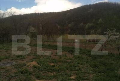 Casă cu 4 camere cu Teren 1800 Mp în Central