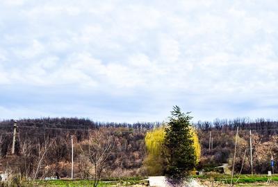 Casă cu 4 camere cu Teren 500 Mp în Drăganu - 1