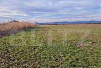 Teren intravilan, 8700mp,Prejmer - 2