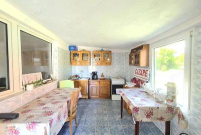 Vanzare proprietate multifunc?ionala, in Arcani, sat Sanate?ti - la DN 67 D - 1