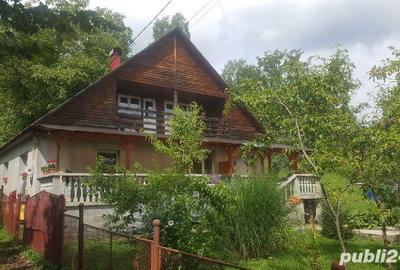 Casă cu Teren 2400 Mp în Cavnic - 14