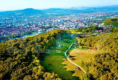 Teren extravilan de vanzare, 740 mp, zona Taberei - 1