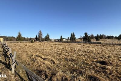 Spațiu comercial, în Fundu Moldovei