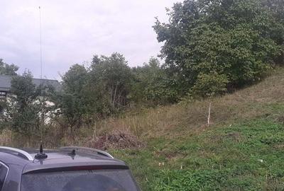 Teren de 555 mp, în Viforâta - 2