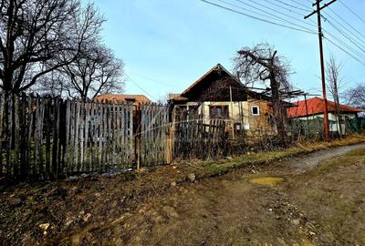 Teren Construcții de 3948 mp, în Provița de Sus - 5