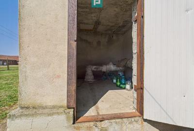 Spațiu industrial, de 6,179 mp, în Orțișoara - 41