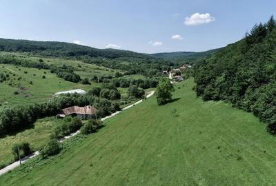 Teren de 8000 mp, în Micești - 2