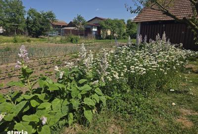 Casă cu 7 camere cu Teren 1230 Mp în Borș - 20