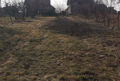 Teren de 1745 mp, în Ianova - 6