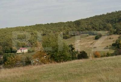 Teren de 1500 mp, în Central - 1