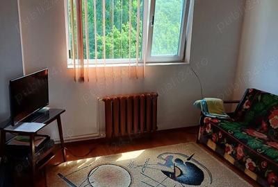 Stefanesti Jud Valcea Casa de Vanzare Curte 3000mp - 10