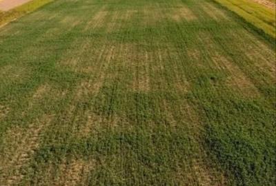 Teren de 16600 mp, în Exterior Vest - 1