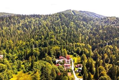 FILM! Refugiu de vacanta, cu foisor, gradina si muntii in zare, Predeal - 7