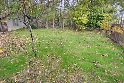 Casă cu 4 camere în Vlad Țepeș - 3