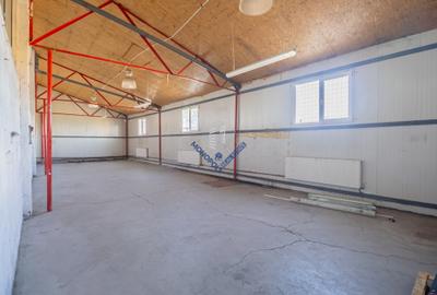 Spațiu industrial - Hală Oligopol - 2