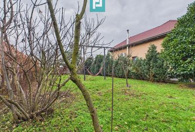 Casă individuală spațioasă, la 10 km de Timișoara - 47