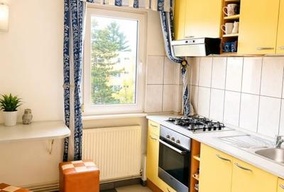 Apartament cu 2 camere semidecomandat, mobilat în Astra - 5