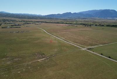 Teren extravilan Rasnov - 3