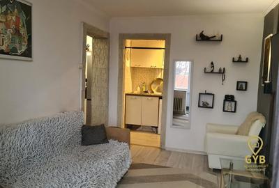 Apartament cu 2 camere,  renovat, etaj 2,  strada Iza - cu loc de parcare - 4