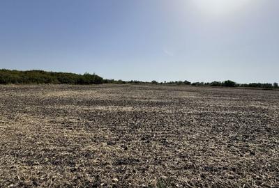 Spațiu comercial, în Sânandrei - 2