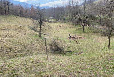 Teren de 4700 mp, în Romos - 2