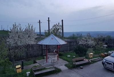 Casă cu 15 camere cu Teren 6500 Mp în Sutești - 6